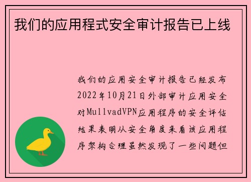 我们的应用程式安全审计报告已上线 
